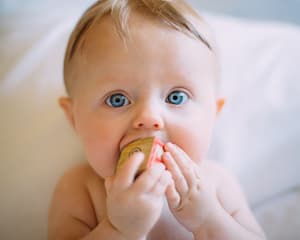 PDG Tijuana Baby trying to eat a toy 